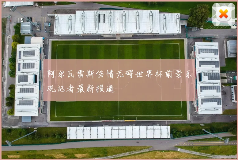 阿尔瓦雷斯伤情无碍世界杯前景乐观记者最新报道