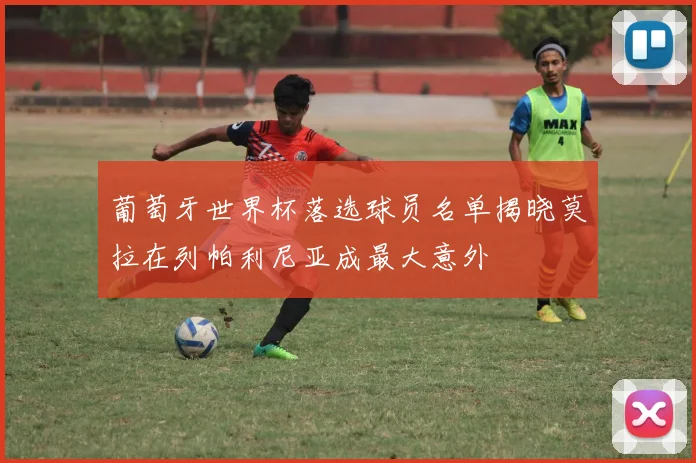 葡萄牙世界杯落选球员名单揭晓莫拉在列帕利尼亚成最大意外