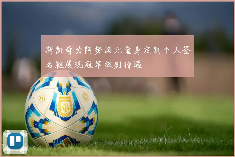斯凯奇为阿努诺比量身定制个人签名鞋展现冠军级别待遇